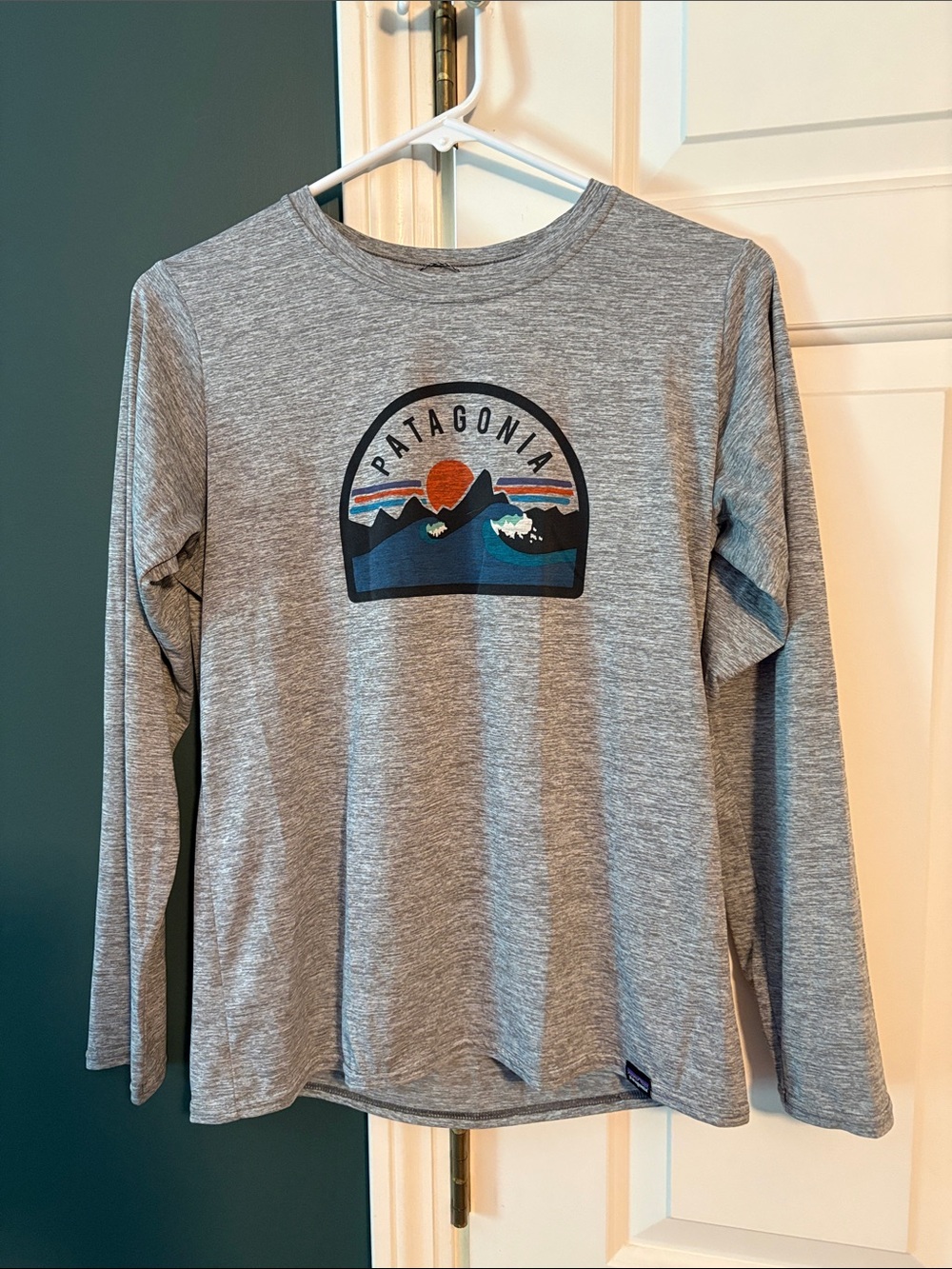 Patagonia Capilene Cool Grey Long-Sleeve Tee with Mountain Sunset Graphic